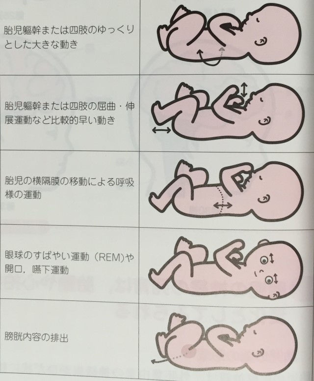 胎動は歩く練習です 和歌山県 橋本市の整骨院 にし鍼灸整骨院